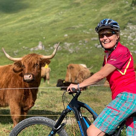 Chalet Montriond - Bike & Ski 莱斯·克洛塞特斯 外观 照片