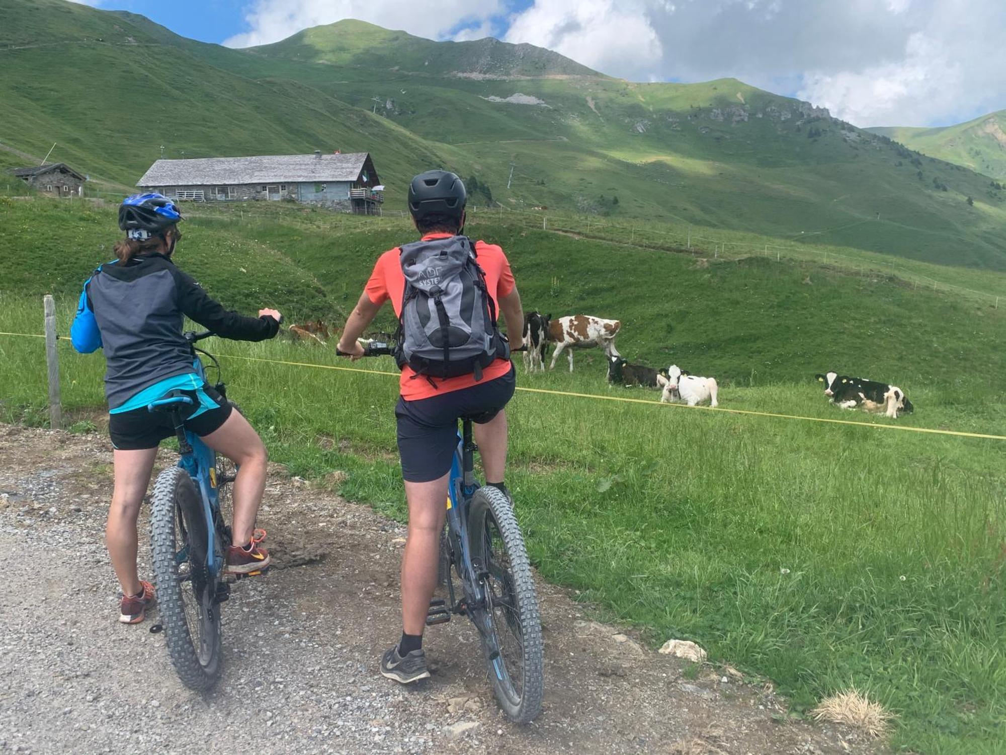 Chalet Montriond - Bike & Ski 莱斯·克洛塞特斯 外观 照片