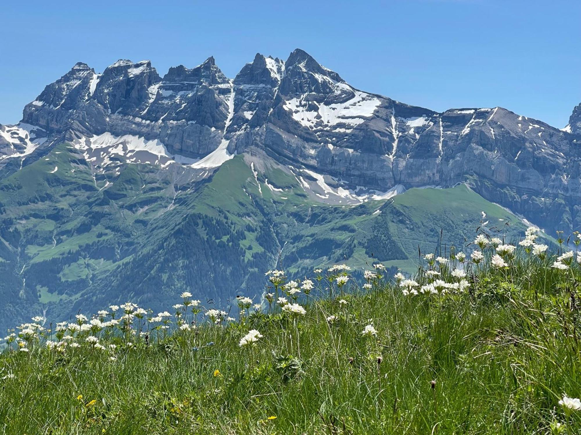 Chalet Montriond - Bike & Ski 莱斯·克洛塞特斯 外观 照片